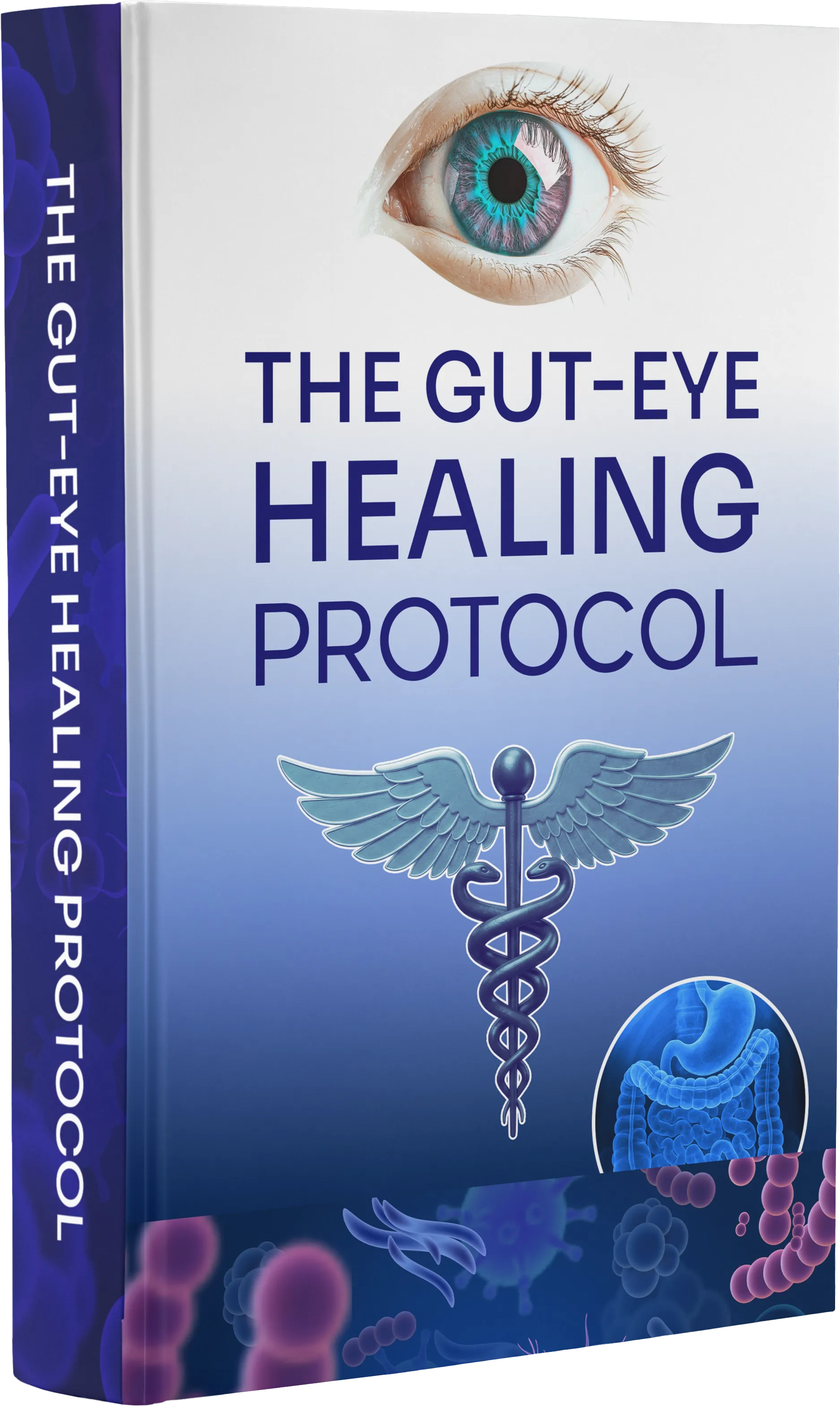Gut-Eye Healing Protocol ebook with gut reset recipes and wellness support guidance
